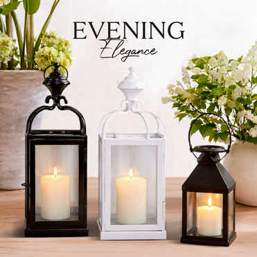Evening Elegance