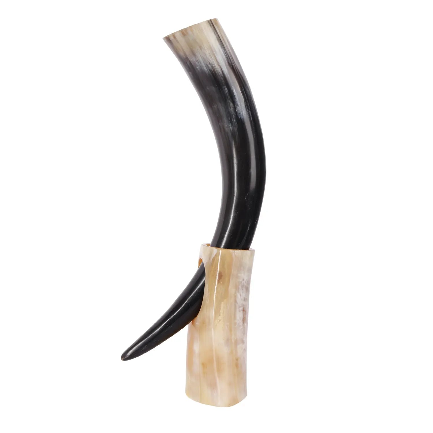 Real Ox Horn Drinking Horn with Stand 16 oz Beer Mug Gift