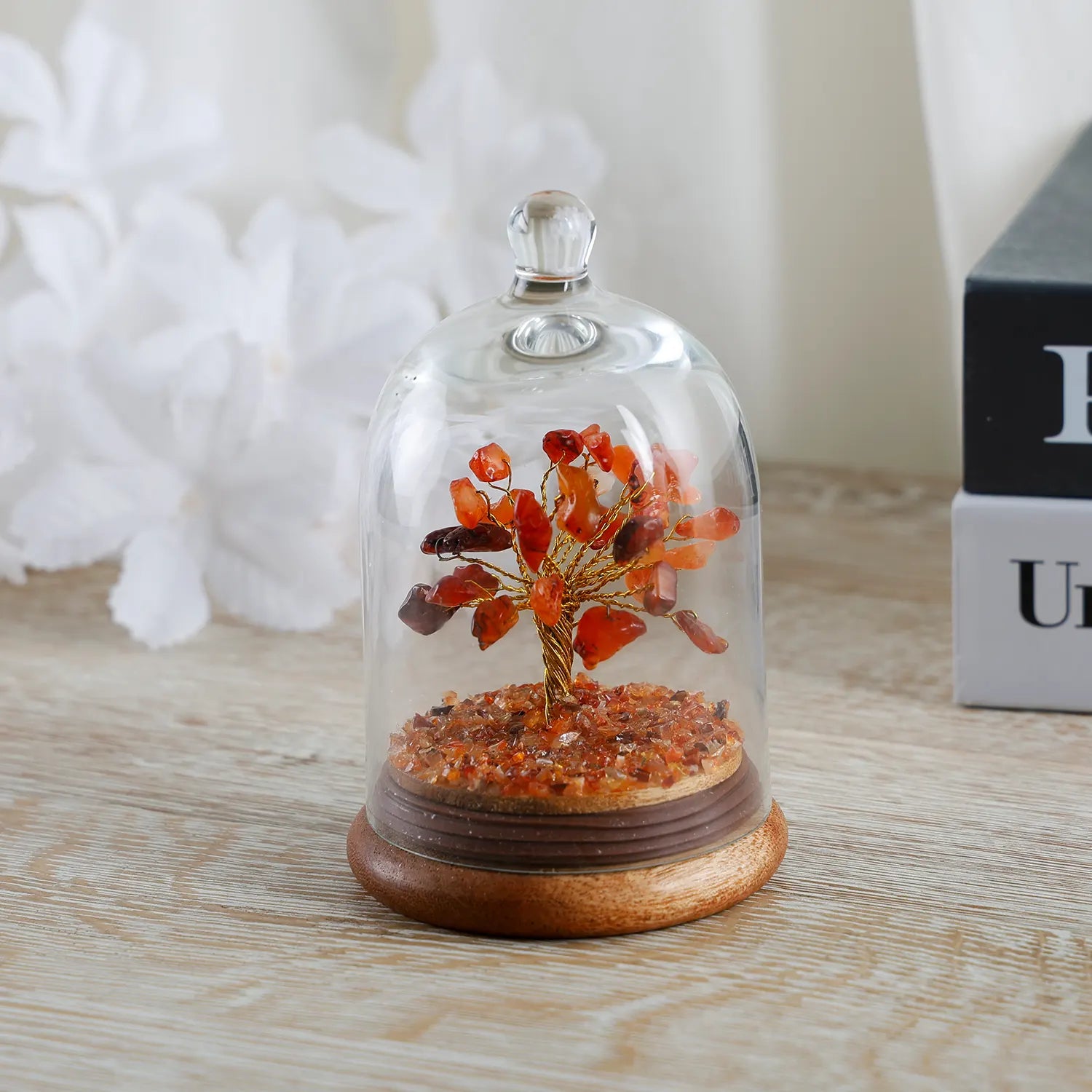healing crystal tree carnelian orange with dome